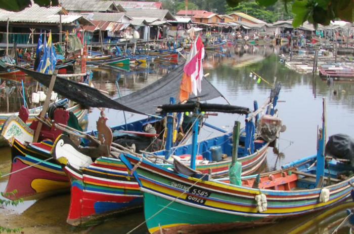 Govt to open centre to limit fishing boats - Vimarsana News