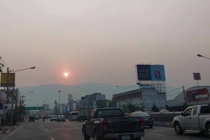 CP Group denies supporting slash-and-burn farming - Vimarsana News