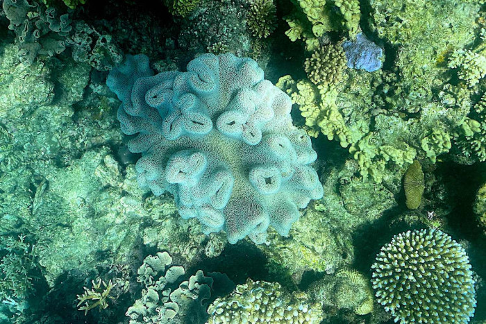 Heating oceans a climate 'time bomb' - Vimarsana News