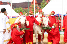 Good signs Good signs