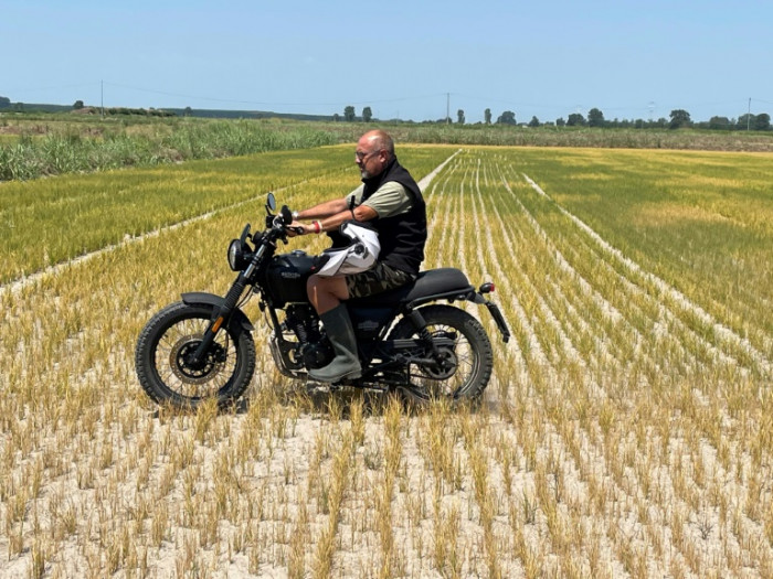 EU's next food fight: regulating gene-edited crops - Vimarsana News