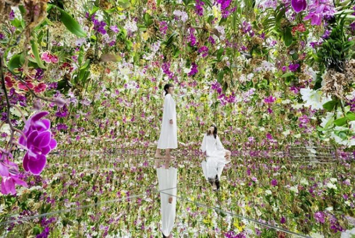 Take in Earth's beauty at immersive Macao art spaces - Vimarsana News