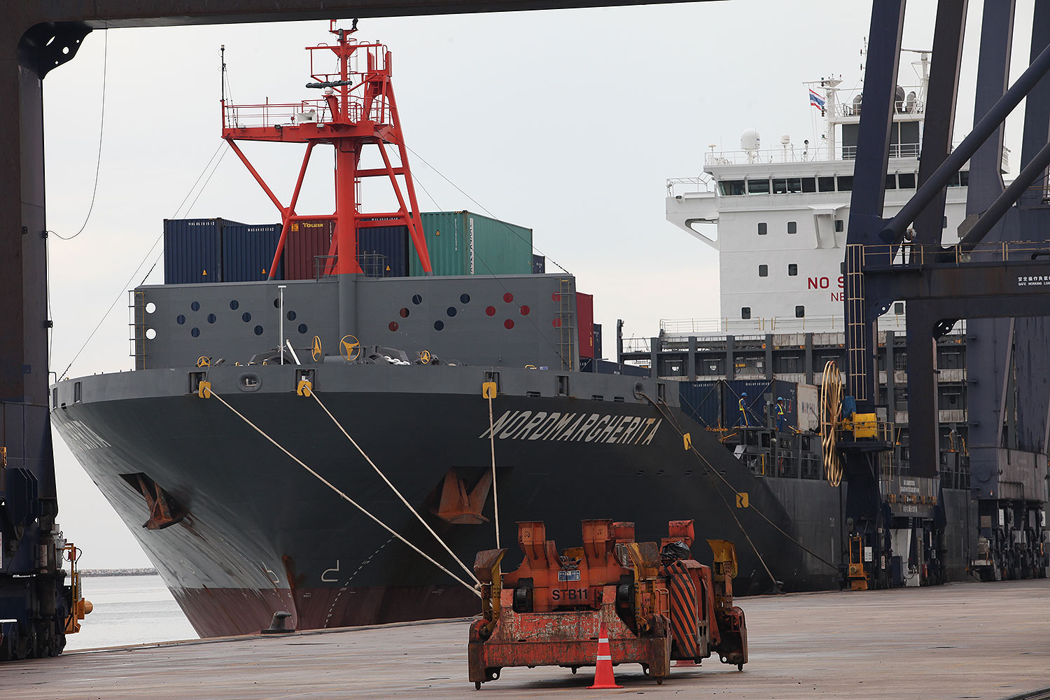 Shippers still buoyant on export outlook