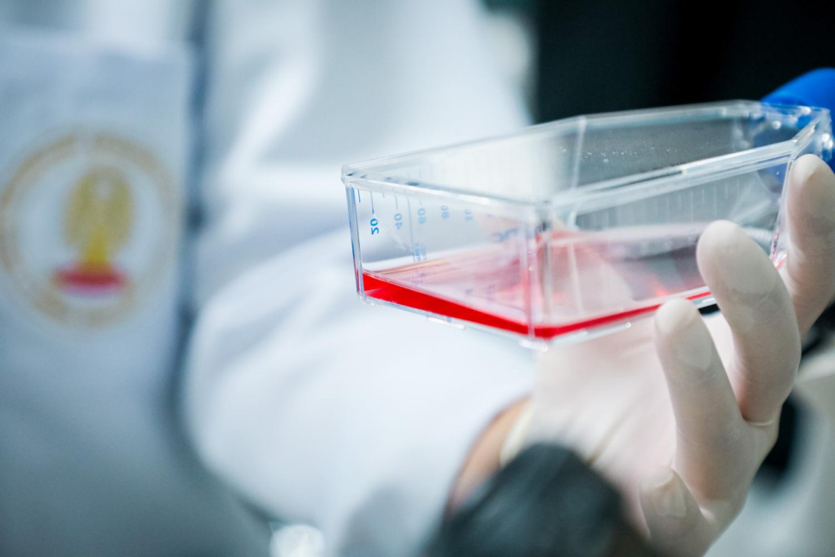 Red Dna Testing Bangkok Post - CU says 'rejuvenating DNA' is not yet tested on humans