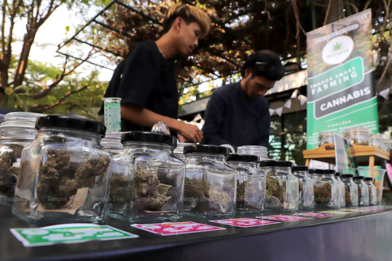 Promoting the passage of the Hemp and Cannabis Act to properly regulate the cannabis business is one of the goals of the  Thailand Consumers Council. (Bangkok Post File Photo)