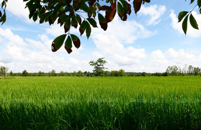 Malaysia asking Asean rice supplying nations to prioritise members