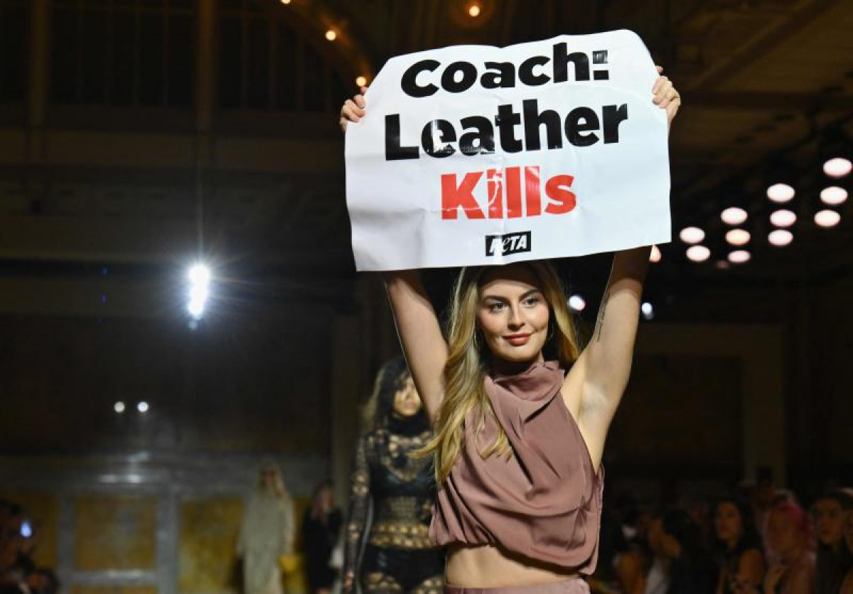Peta Posts Bangkok Post - How Peta infiltrated major fashion shows