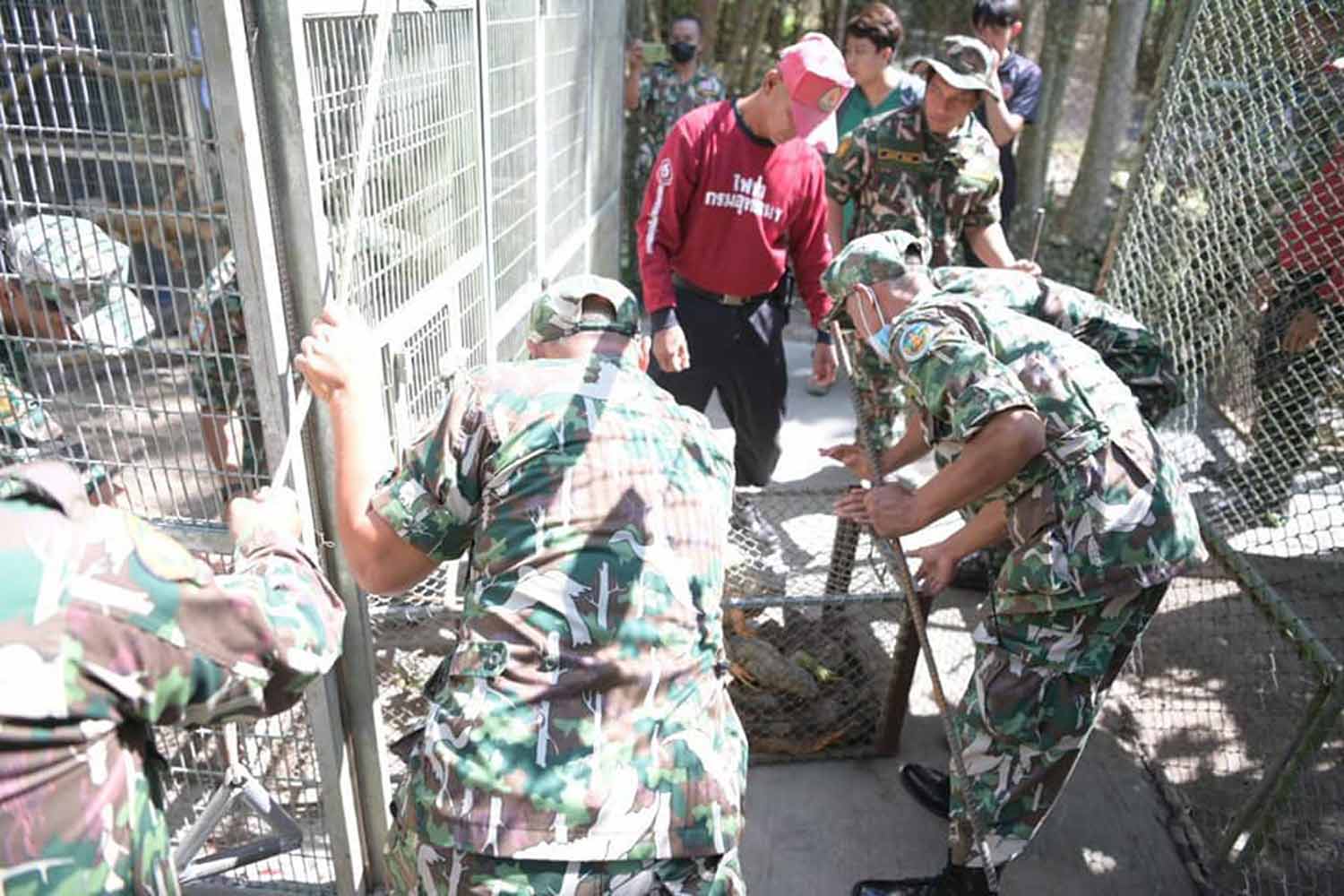 Wildlife officials cage captured iguanas at a wildlife sanctuary on Tuesday. (Photo: Department of National Parks, Wildlife and Plant Conservation)