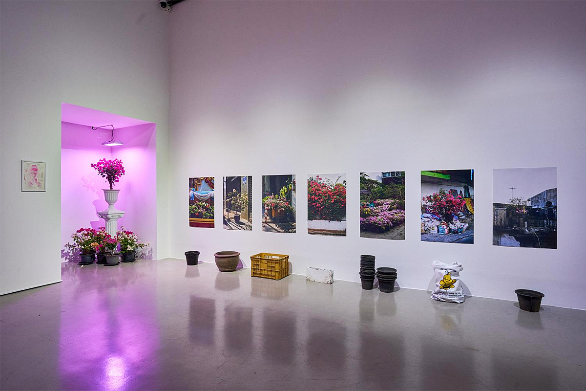 Bangkok Post - Four artists reconstruct natural philosophy - Vimarsana News