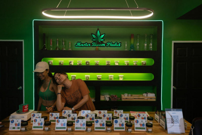 Bangkok Post - Cannabis supporters plan legal challenge of policy u-turn - Vimarsana News