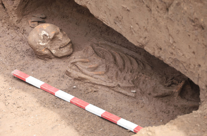 Bangkok Post - Unearthed skeletons trace back to ancient settlement - Vimarsana News