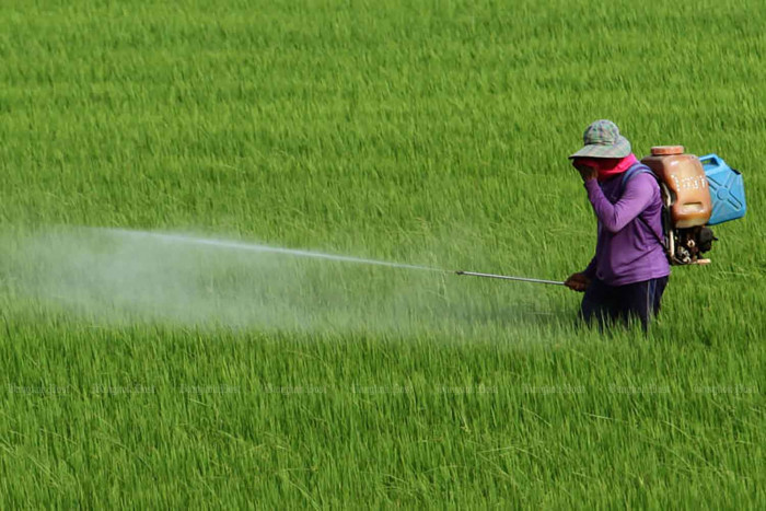 Bangkok Post - Paraquat-led farm chemical ban a hit - Vimarsana News