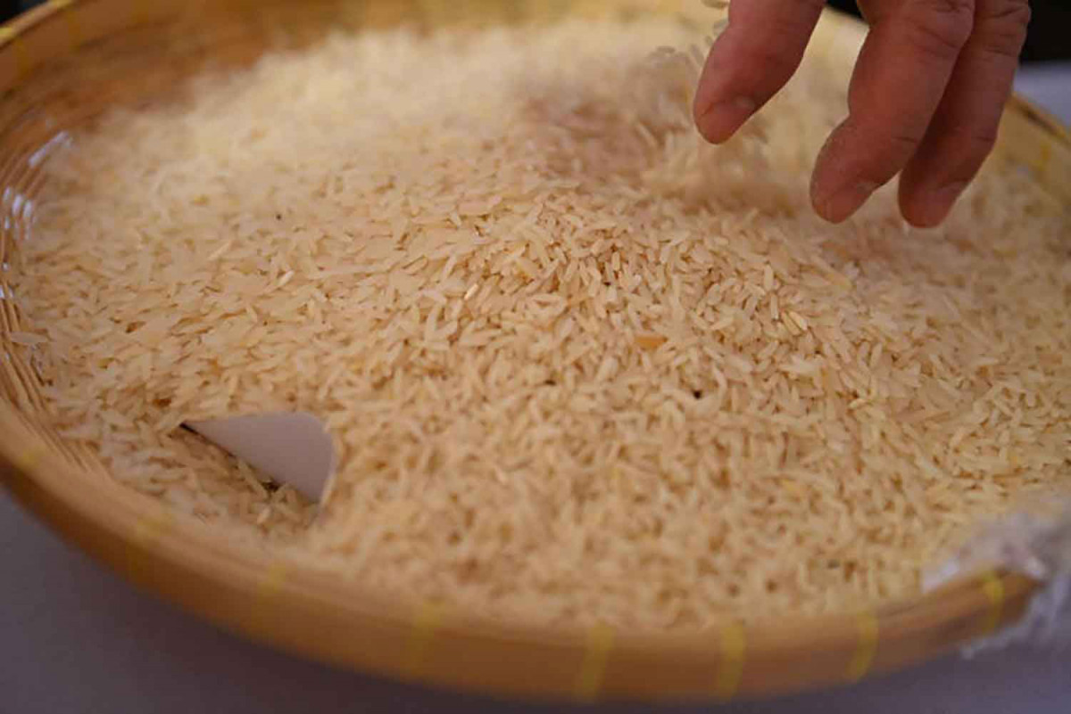 Waiving Rice Bangkok Post - Seven bidders qualify for old rice auction