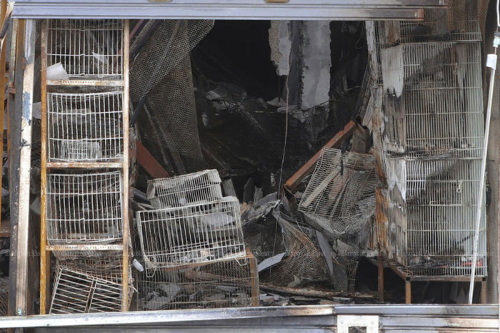 Bangkok Post - Pet market raids coming after blaze - Vimarsana News