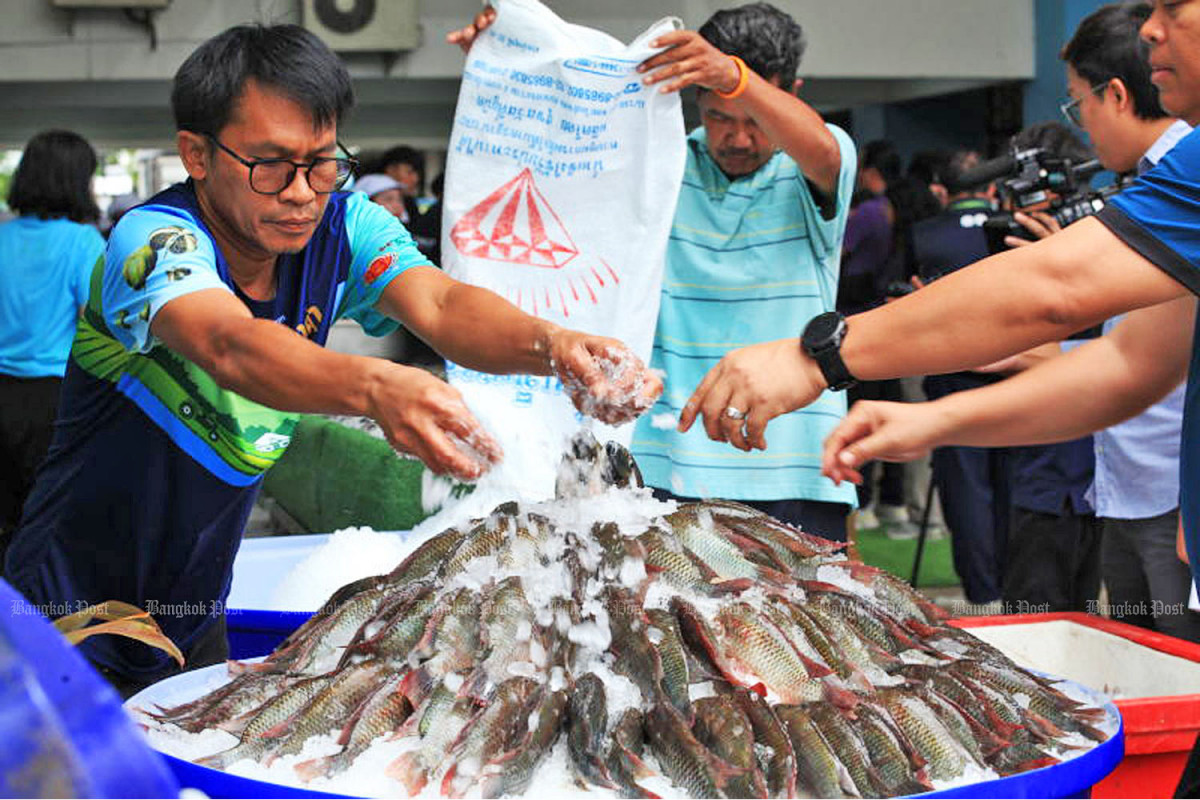 Bangkok Post - Panel probes spread of invasive fish