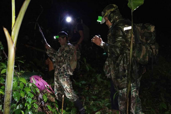 Bangkok Post - More forest rangers to be recruited