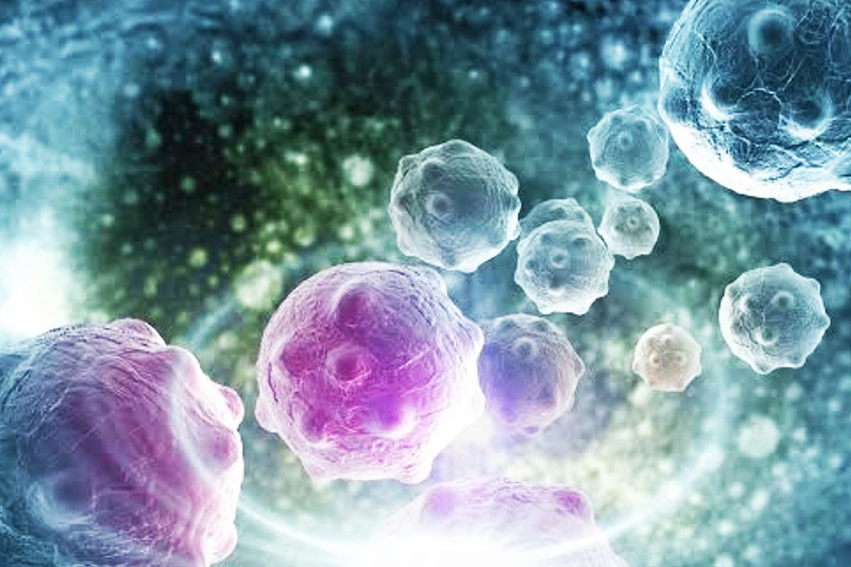 Bangkok Post - The evolution of cancer treatment: Ancient to modern