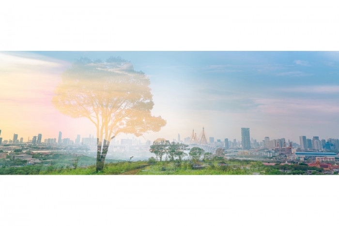 Bangkok Post - Bangkok's Air Quality Crisis Demands Urgent Action Now