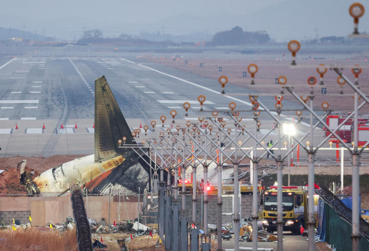 Bangkok Post - Bird feathers, blood found in both engines of crashed ...