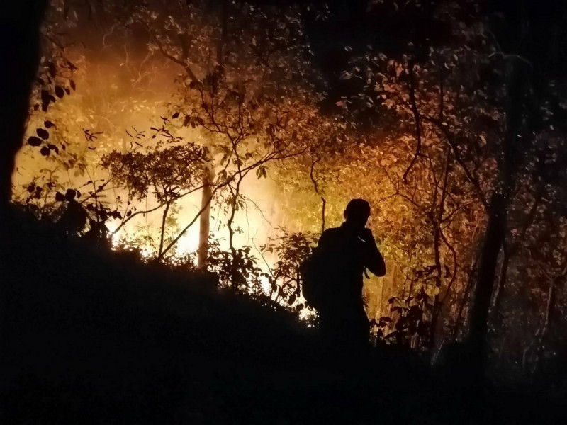 Bangkok Post - Army helps fight Rayong forest fires