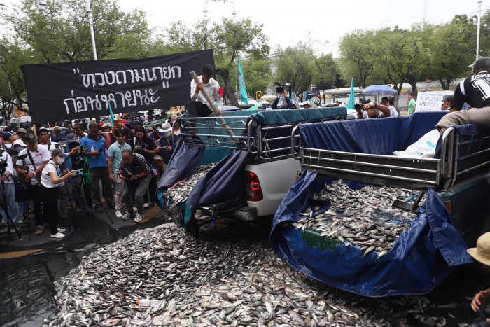Bangkok Post - Fish crisis needs action