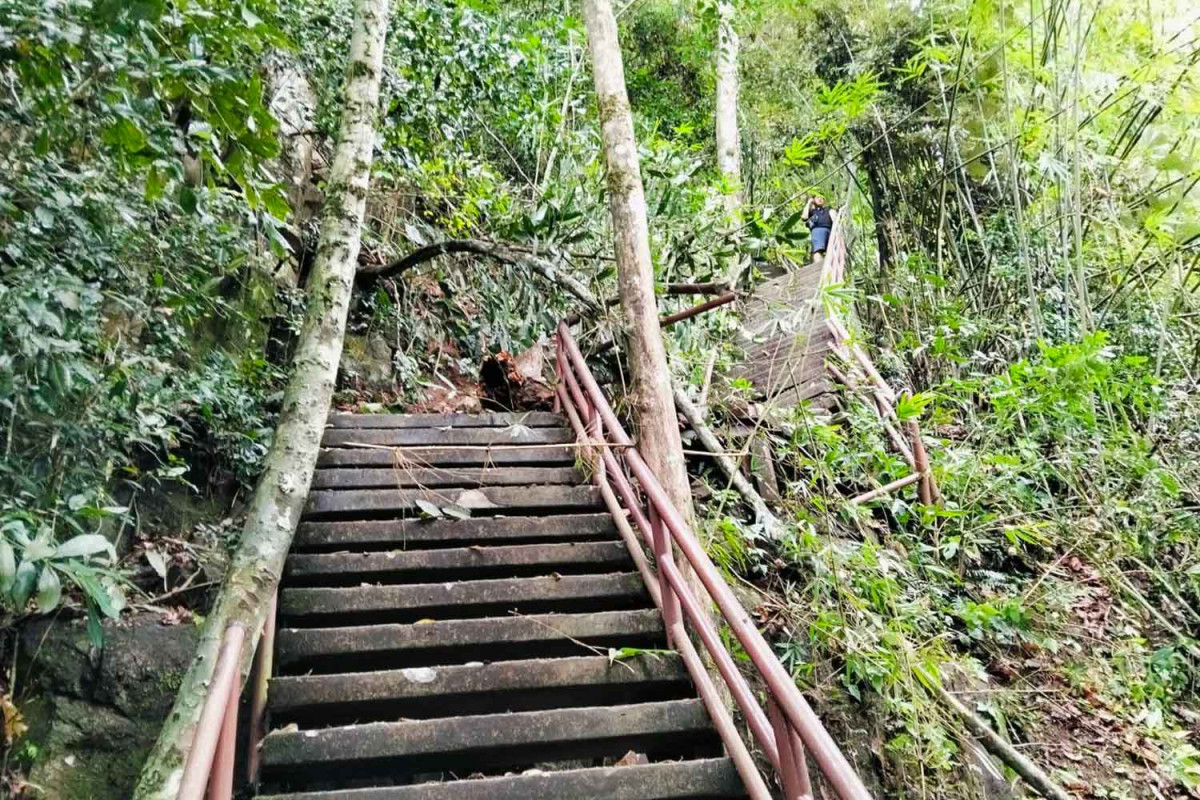 Bangkok Post - Two tourists injured by landslide at waterfall