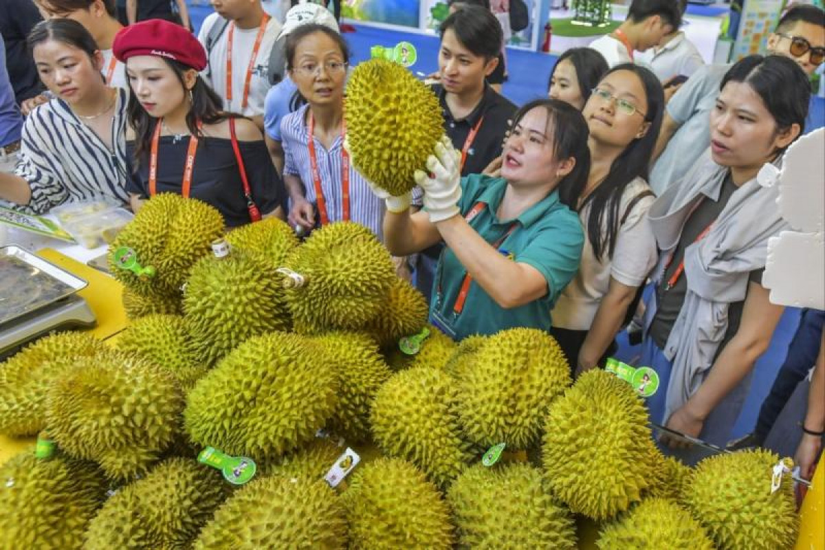 Bangkok Post - China's durian imports plunge as stricter checks catch ...