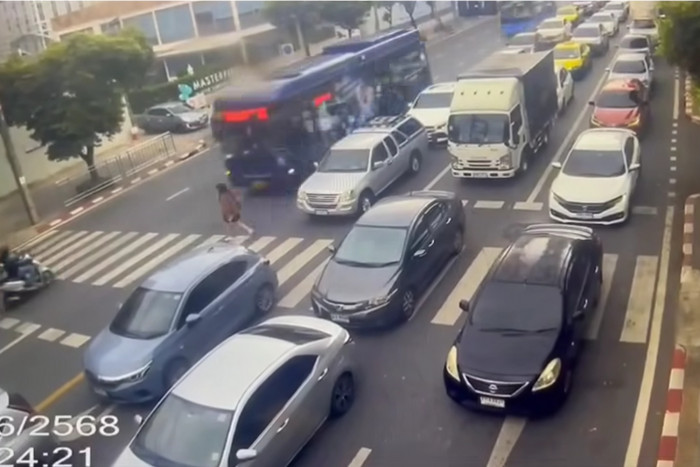 Student hit by bus while using zebra crossing Bangkok Post Learning ...