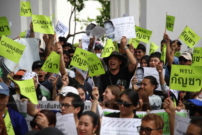 Members of the 'Writing the Future of Thai Cannabis' network express their stance on the attempt to reclassify cannabis as a controlled herb, at the Public Health Ministry in Nonthaburi province on Monday. (Photo: Varuth Hirunyatheb)