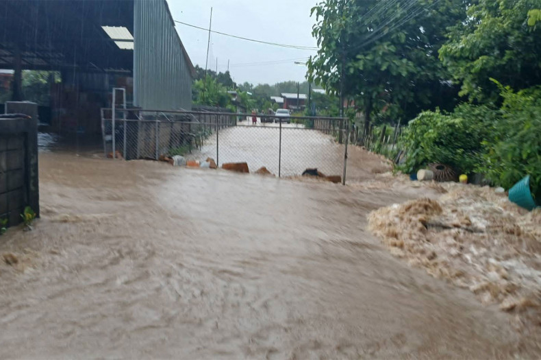 Floods, runoff ravage northern Thailand