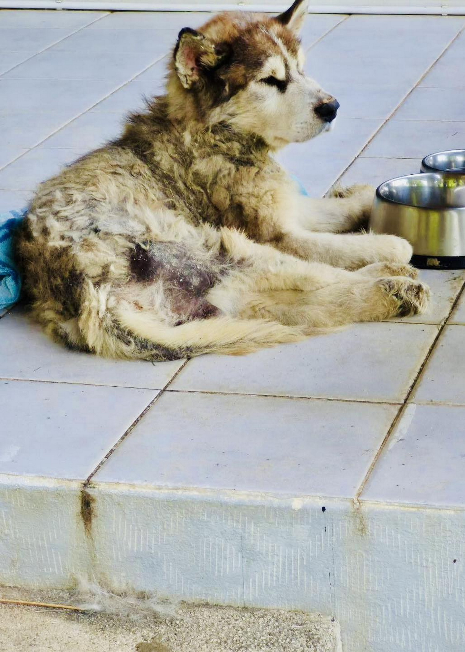 (Photo: Facebook ขยะมรสุม ᴍᴏɴsᴏᴏɴɢᴀʀʙᴀɢᴇ ᴛʜᴀɪʟᴀɴᴅ and ศูนย์ข้อมูลภูเก็ต Phuket Info Center)