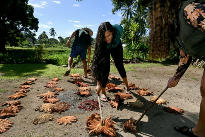 Bangkok Post - Cook Islands wages war on 'plague' of hungry starfish