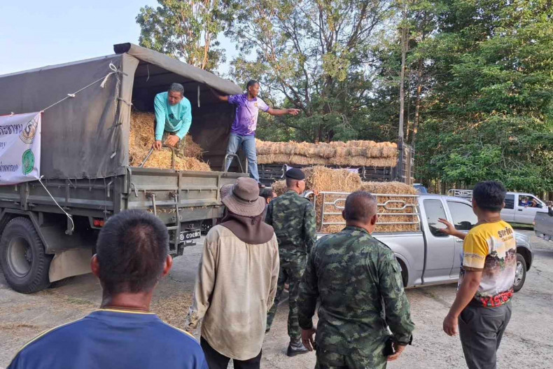 Thai military detects 'continuous movements' near Cambodian border