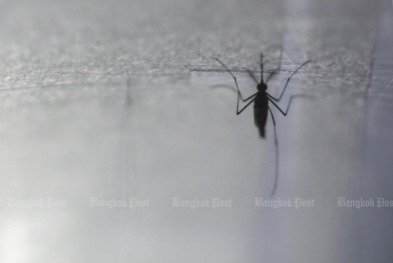 Hong Kong records first imported case of chikungunya fever since 2019