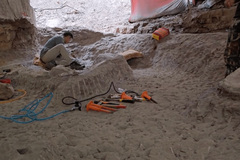 New dinosaur fossil found at Phu Wiang National Park