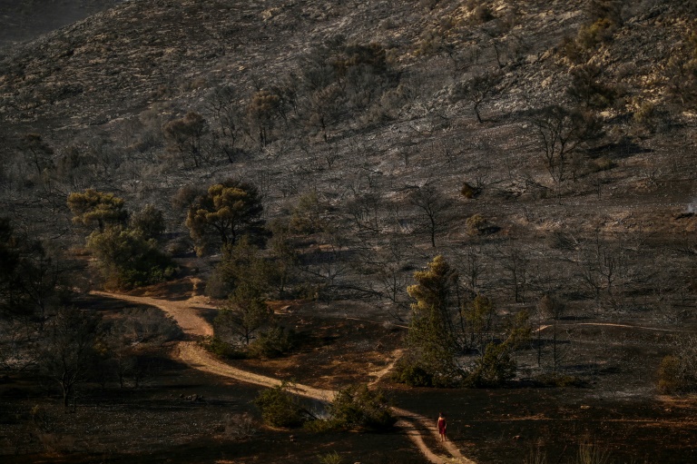 Image-Content