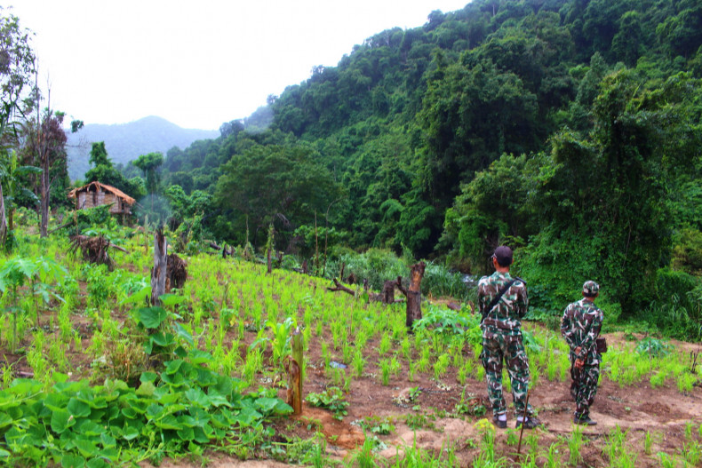 Encroachment near park prompts probe