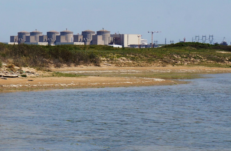 Jellyfish shut French nuclear reactors amid heatwave