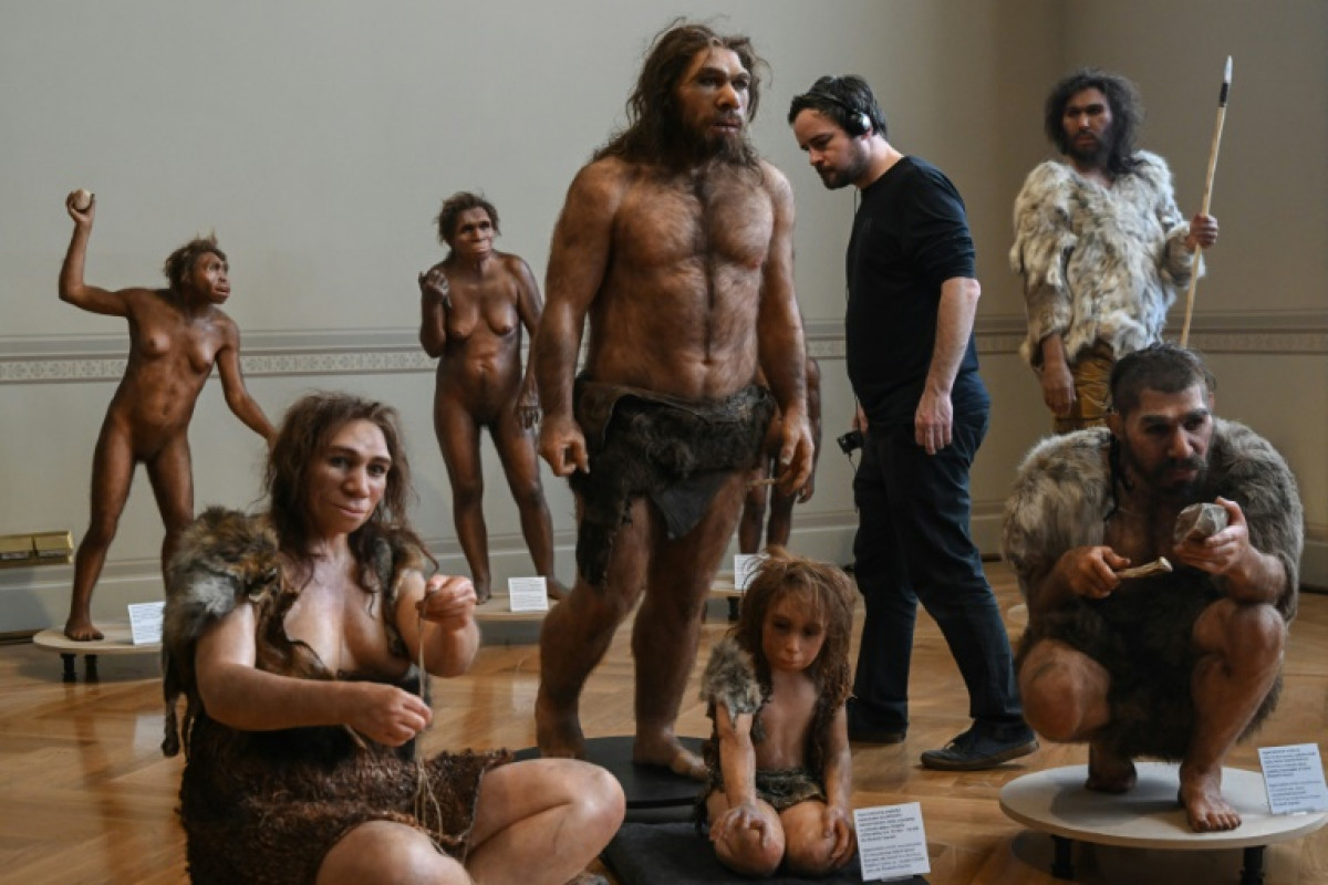 Bangkok Post - Human ancestor Lucy gets first European showing in Prague