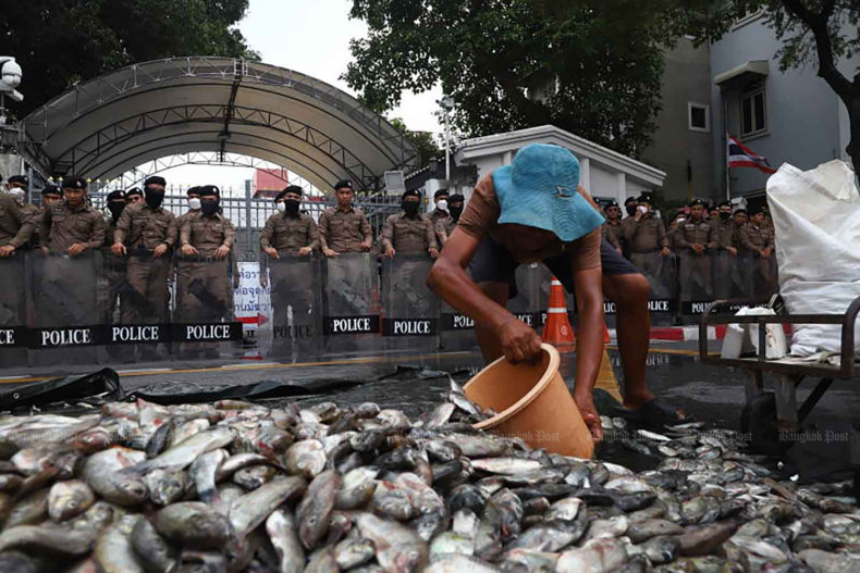 Tilapia saga resurfaces