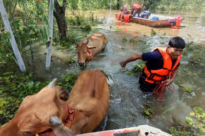 More rain forecast in Thailand's North, Northeast