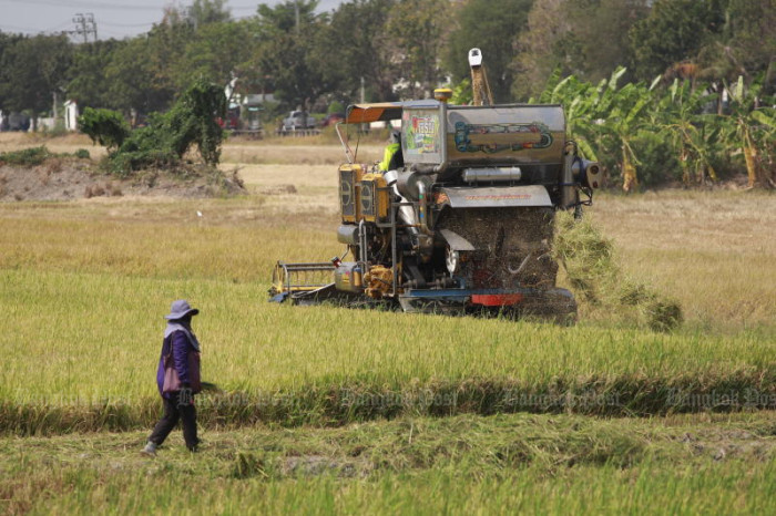 Thai rice prices extend slump to 18-year low