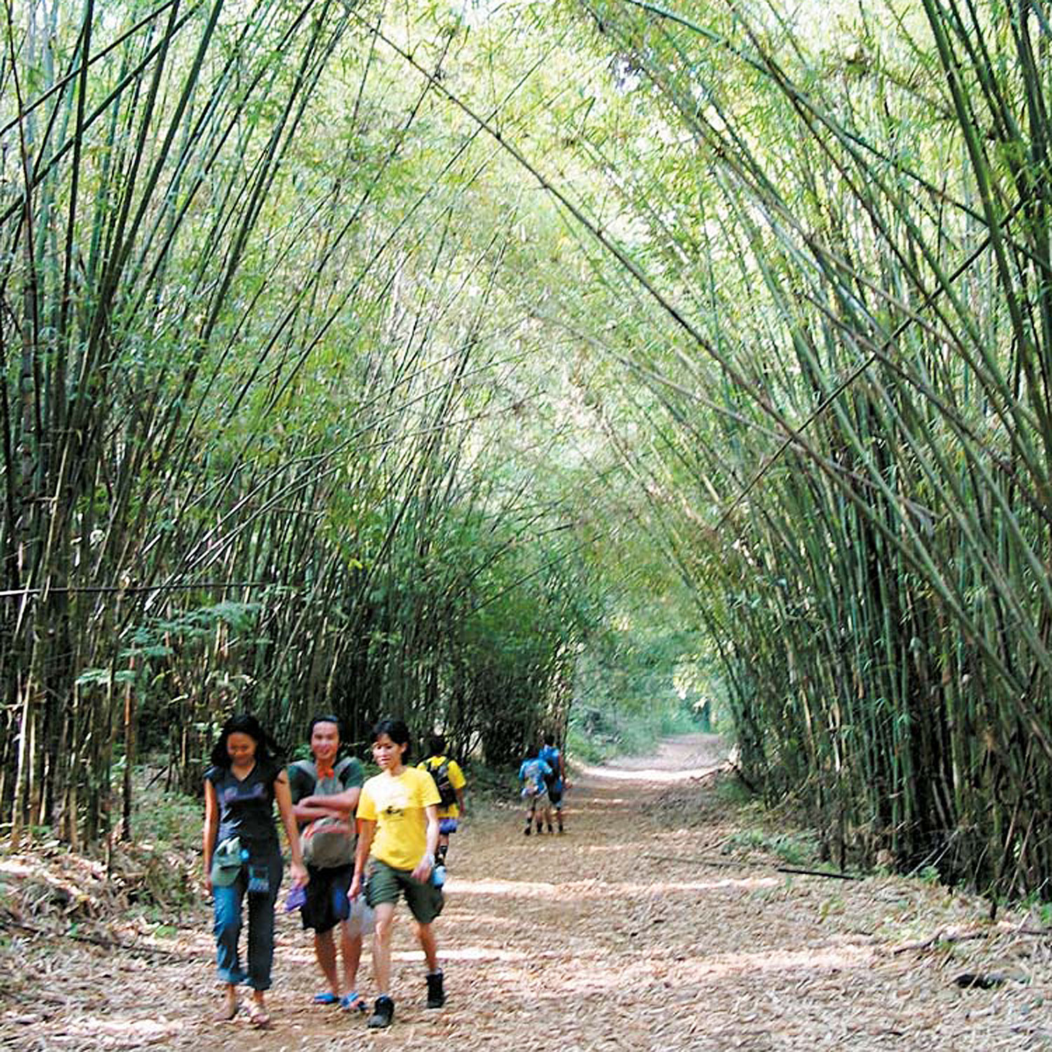 Top places to explore in Thailand this November