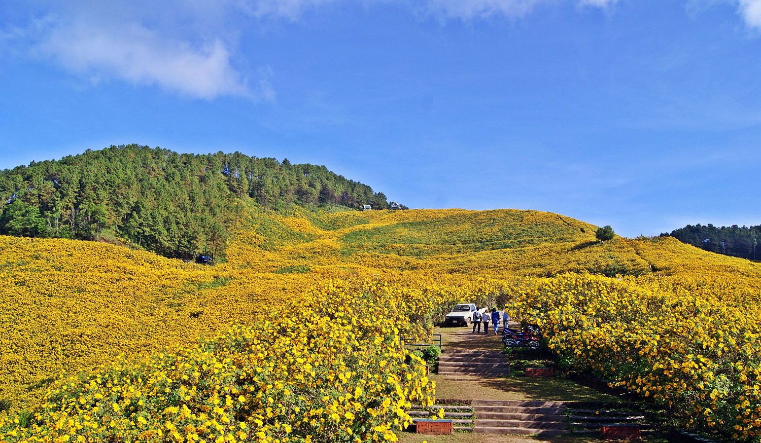 Top places to explore in Thailand this November