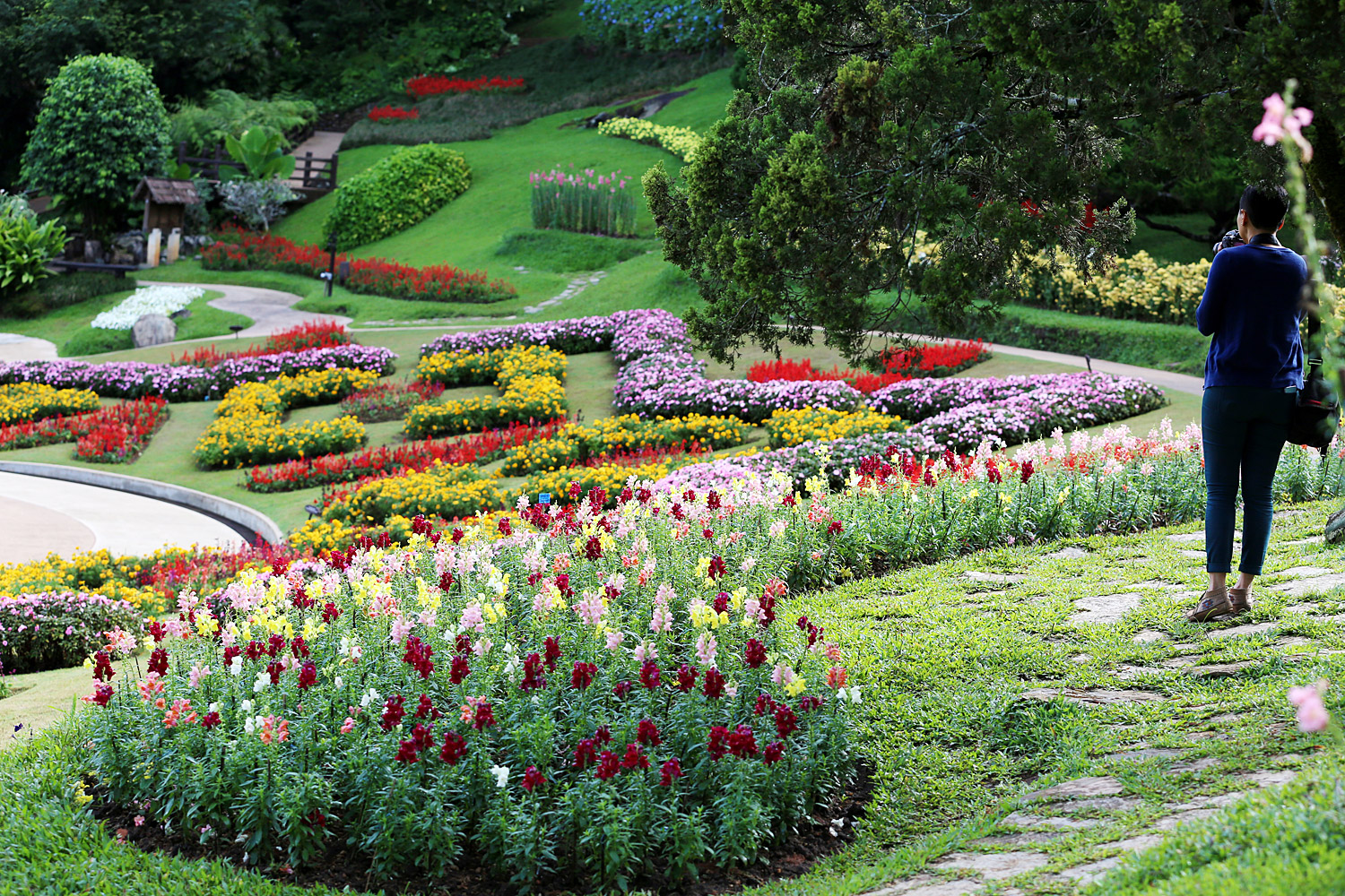 Top places to explore in Thailand this November