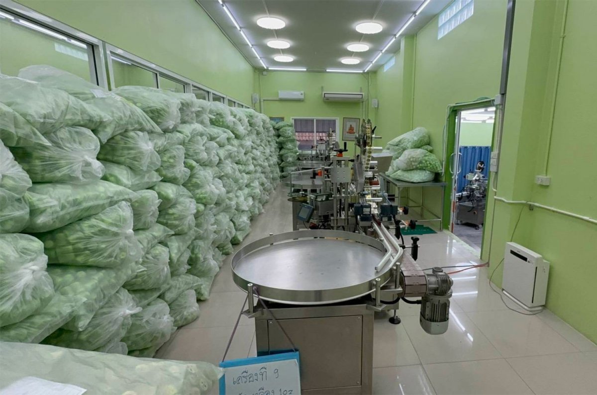 Bangkok Post - Police raid illegal herbal inhaler factories, seize over ...