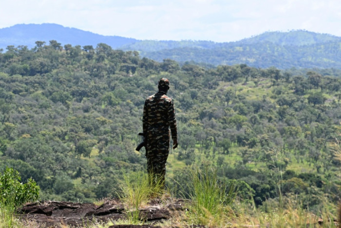 Pillaged Ivory Coast nature reserve on the mend after crisis decade