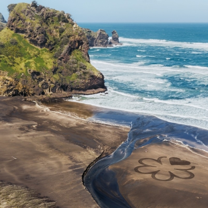 BREAKING NEWS: The Michelin Guide arrives in New Zealand