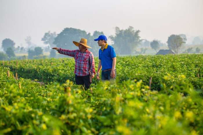 CP Group Urges Businesses to Lead Thailand’s Just Transition to a Greener, Fairer Future