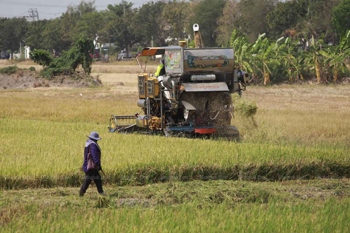 New rice scheme eyes premium tag